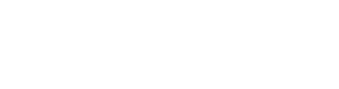 嚴謹專案管理